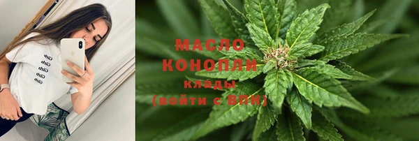 индика Михайловск
