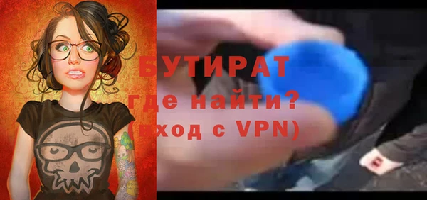 индика Михайловск