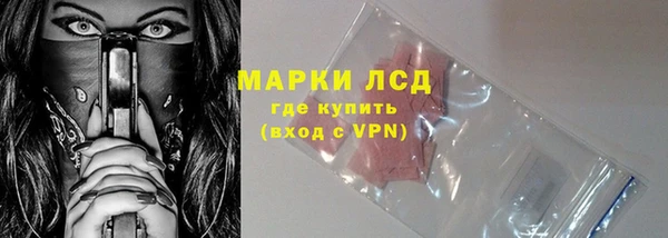 индика Михайловск