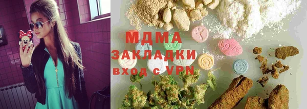 индика Михайловск
