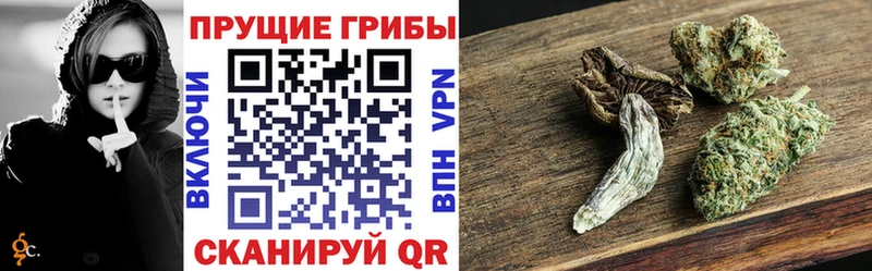 Псилоцибиновые грибы Magic Shrooms  Тогучин 